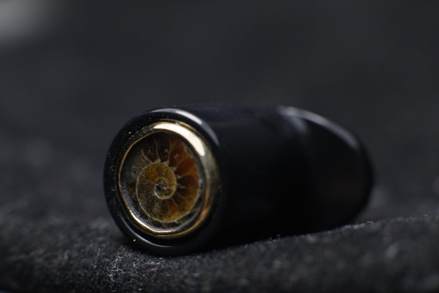 Round black delrin big labret, ammonite in gold bezel - Made to order