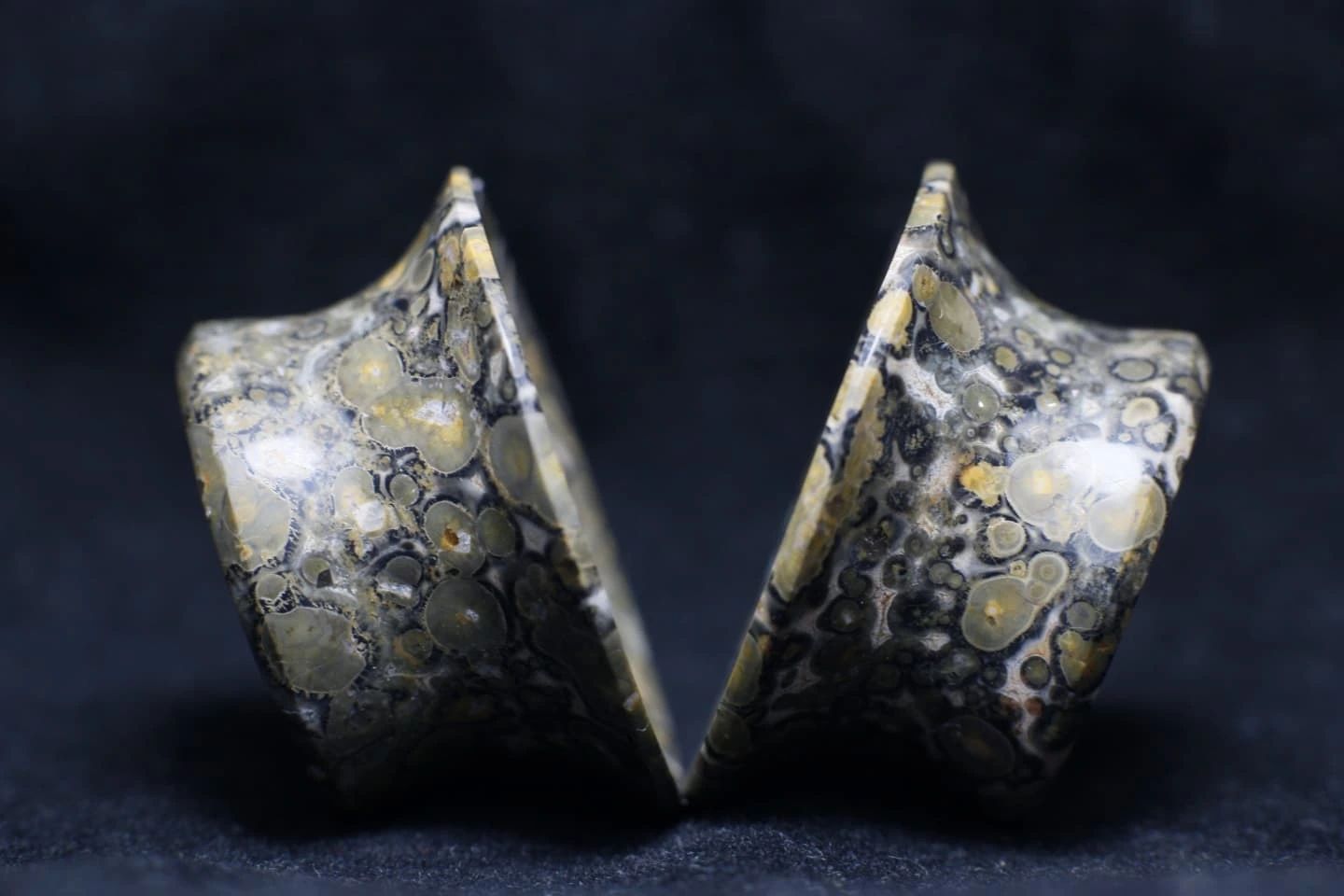  Jaguar chalcedony mayan flare plugs  - Made to order