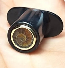 Round black delrin big labret, ammonite in gold bezel - Made to order