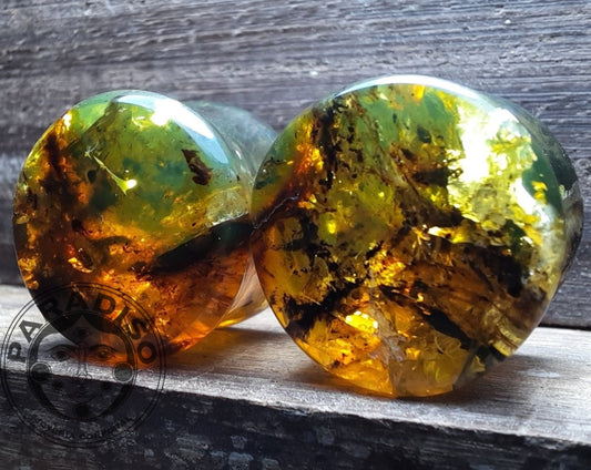 Chiapas amber plugs - Made to order