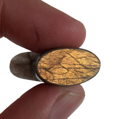 Oval bezel in golden labradorite 16mm - Ready to ship