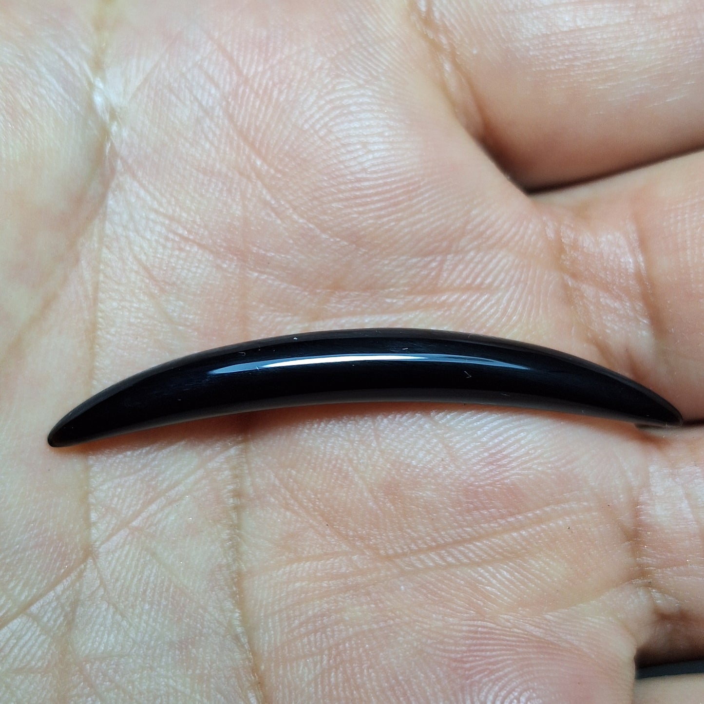 5mm septum tusk de obsidiana negra - Listo para envío