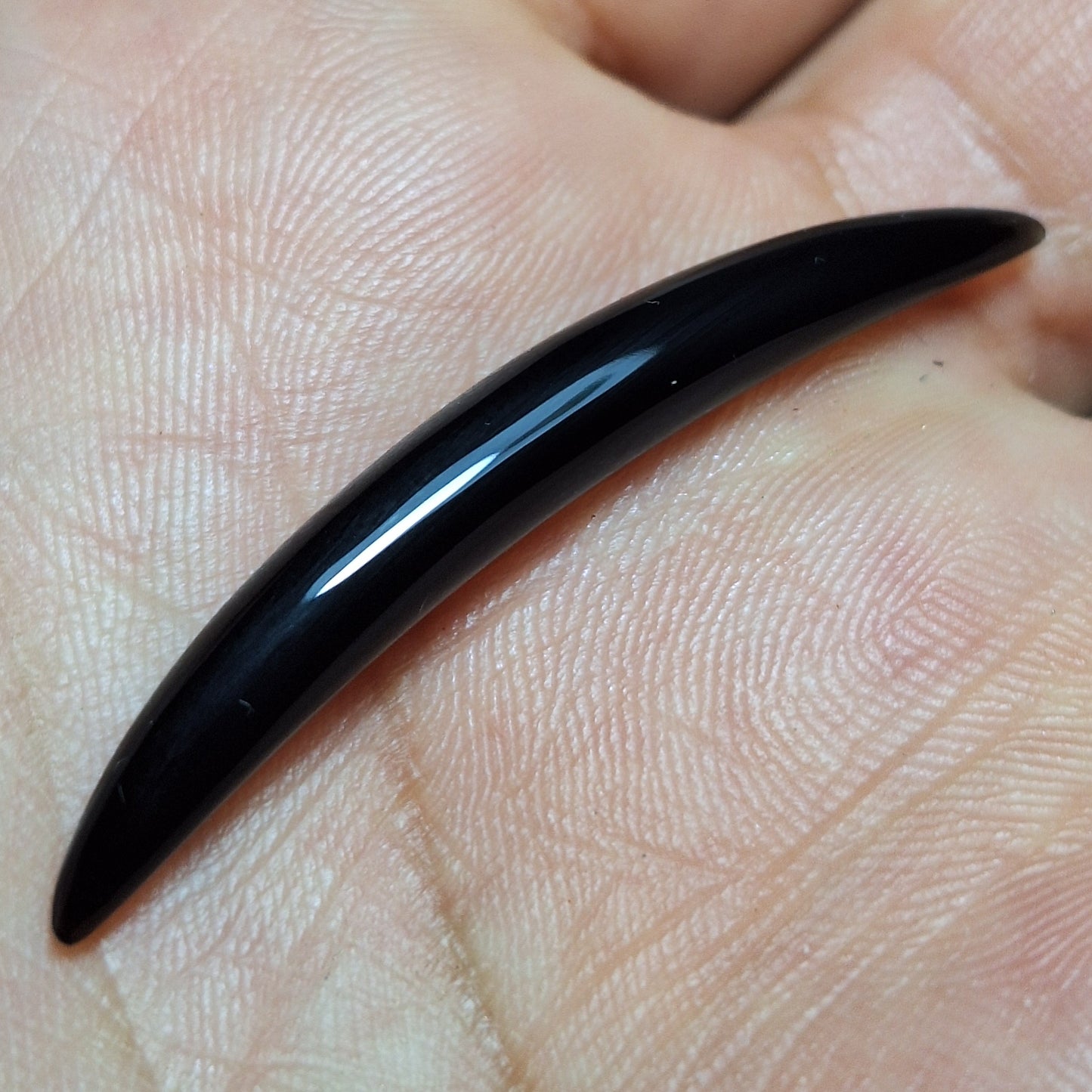 5mm septum tusk de obsidiana negra - Listo para envío